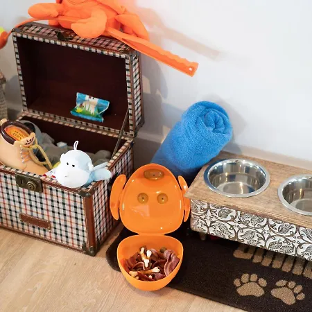 Bear Holiday home